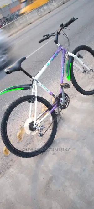 Love White Mountain Bike