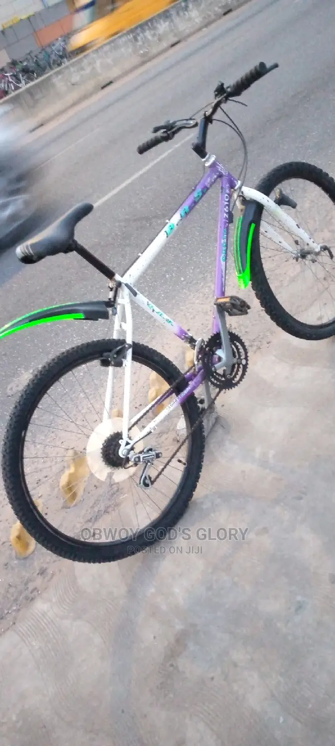 Love White Mountain Bike