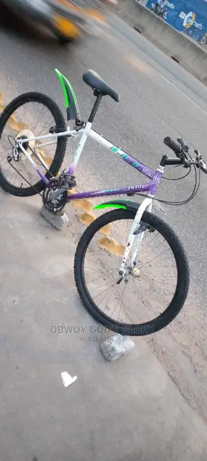 Love White Mountain Bike