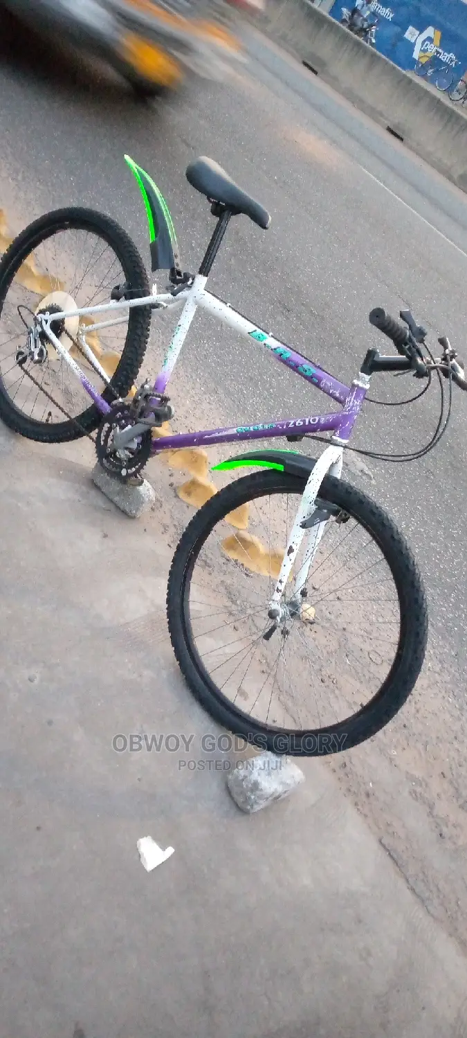 Love White Mountain Bike
