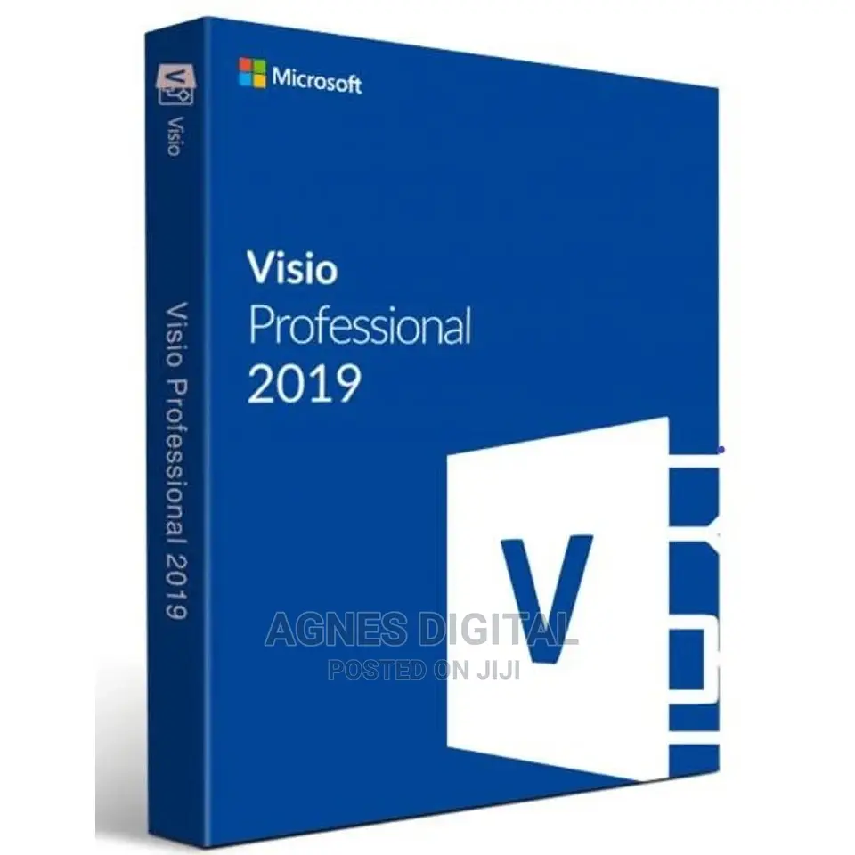 Visio Professional 2019 1PC (Worldwide Activation)