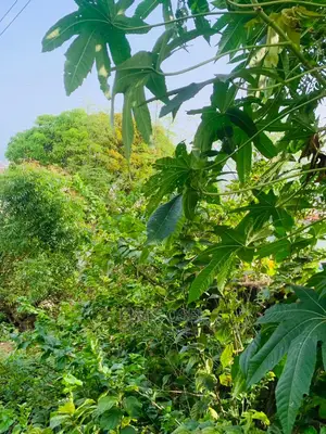 One and Half Plot for Sale Around Gbawe Top Base Documents