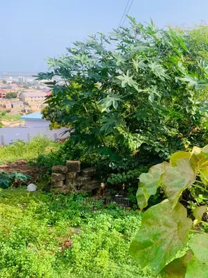 One and Half Plot for Sale Around Gbawe Top Base Documents