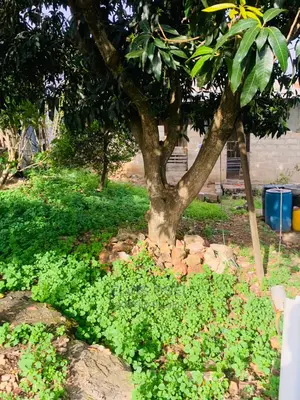One and Half Plot for Sale Around Gbawe Top Base Documents