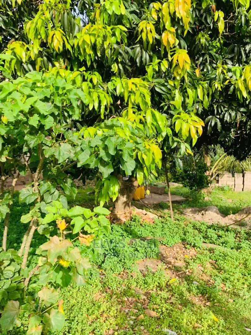 One and Half Plot for Sale Around Gbawe Top Base Documents