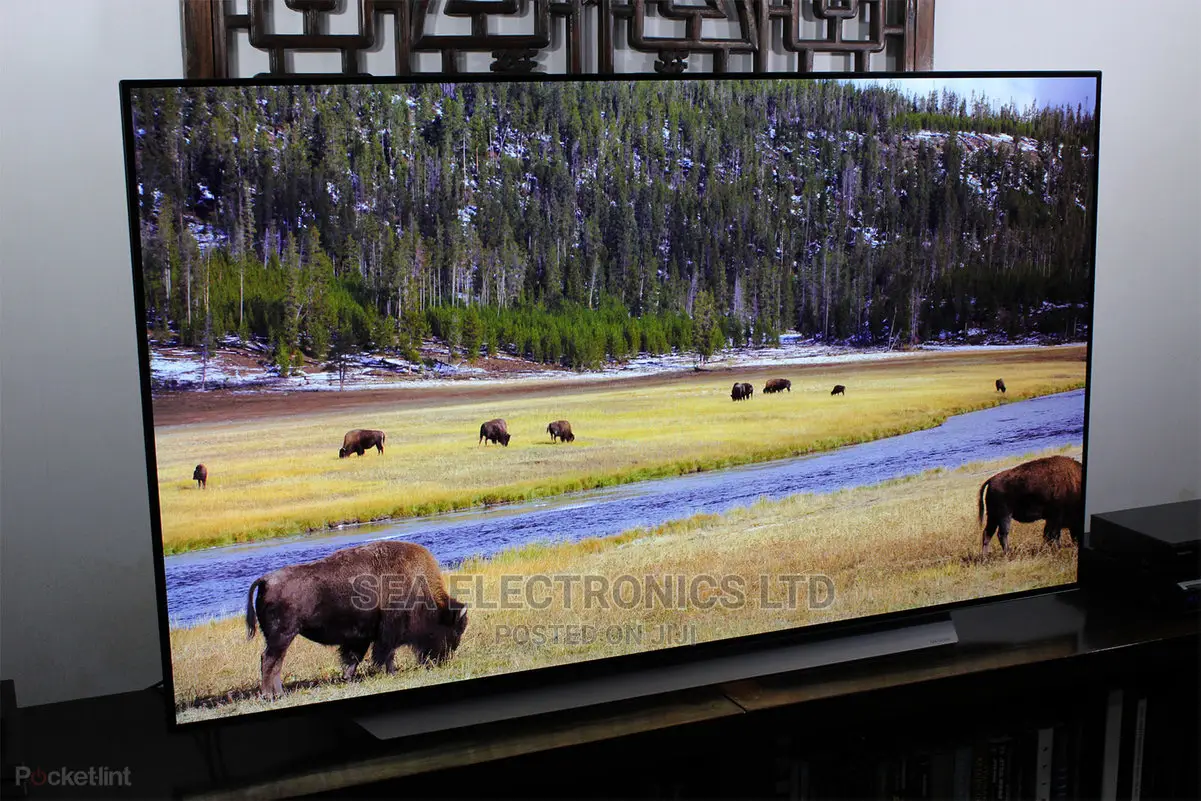 LG Oled65cxpua Alexa Built-In Cx 65-Inch Smart Oled