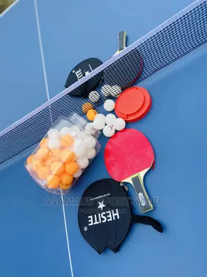Original Set of Table Tennis Board at Cool Price