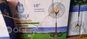 Standing Fan