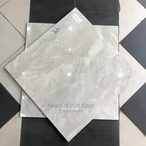 60/60 Floor Tiles (Polished)