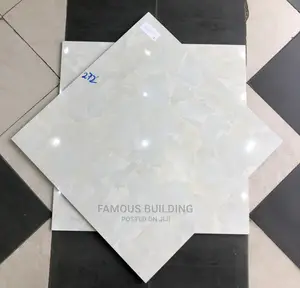 60/60 Floor Tiles (Polished)