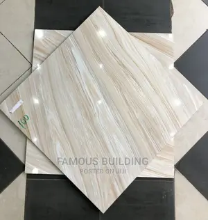 60/60 Floor Tiles (Polished)