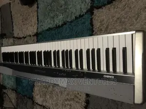 Casio Privia PX 100
