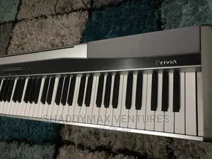 Casio Privia PX 100