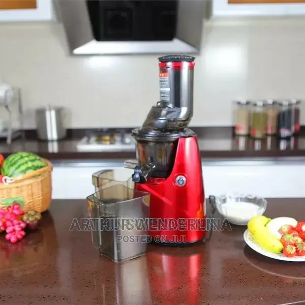 Cntronic Slow Juicer/ Juice Extractor