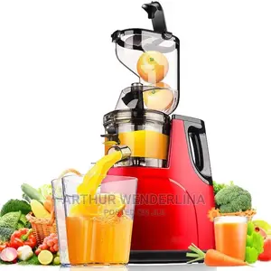 Cntronic Slow Juicer/ Juice Extractor