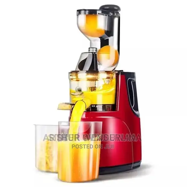 Cntronic Slow Juicer/ Juice Extractor
