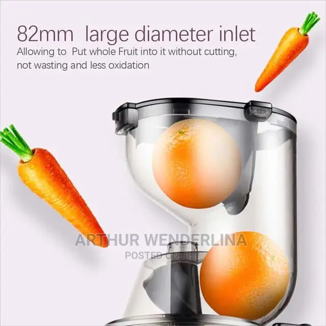 Cntronic Slow Juicer/ Juice Extractor