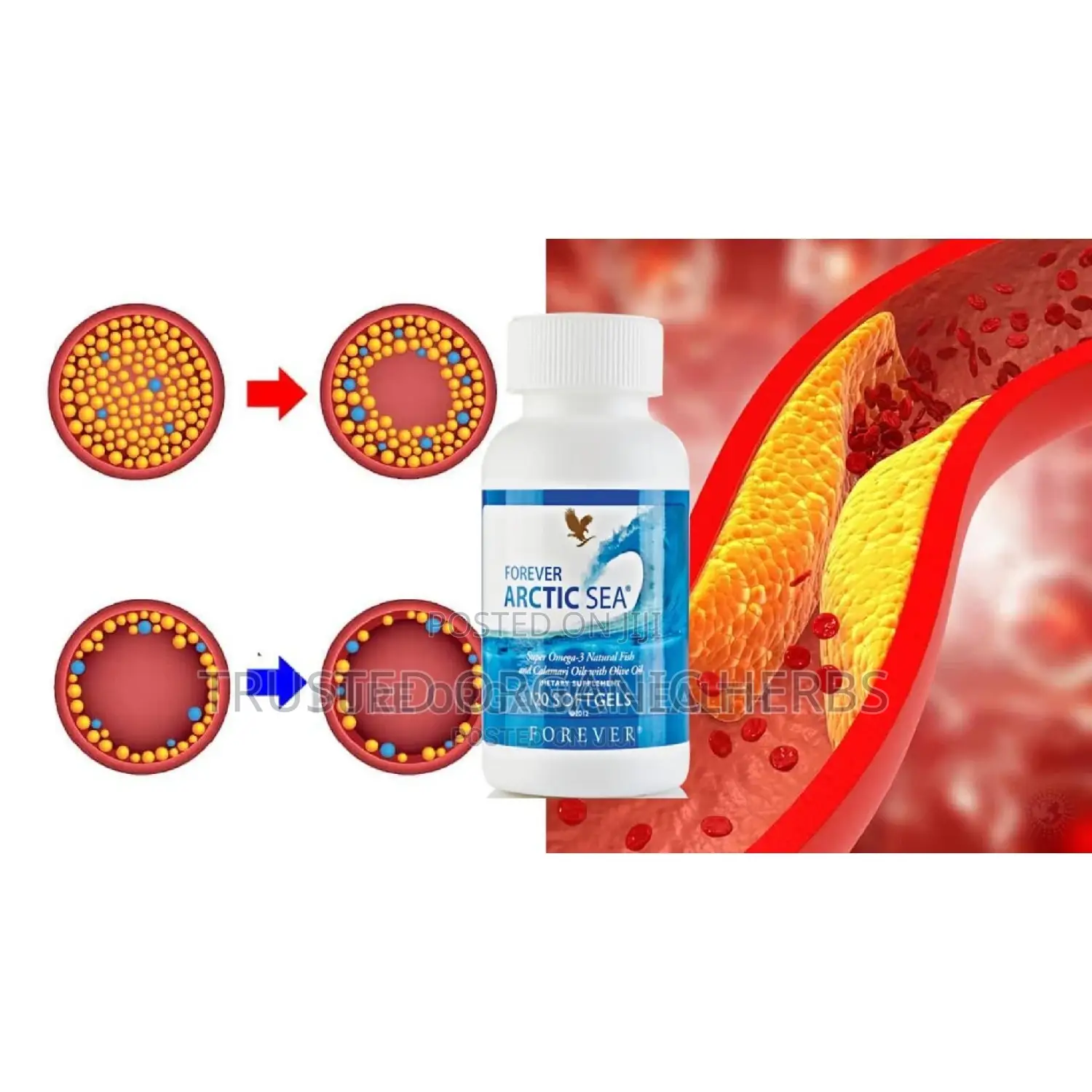 Solution for Blood Pressure, Cholesterol, Sugar Level Fats