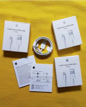 Apple Original Chargers
