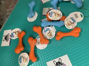 Rubber Bone Chew Toys