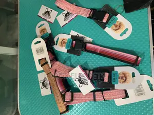 Adult Collar/Belt For Toy Dogs