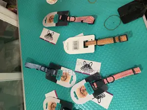 Puppy Toy Dog Collar