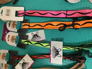 Multicolored Leash for Dogs and Cats