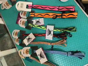Multicolored Leash for Dogs and Cats