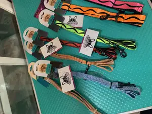 Multicolored Leash for Dogs and Cats