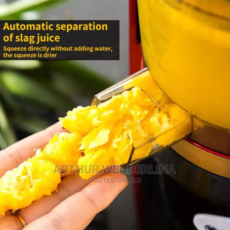 Cntronic Slow Juicer/ Juice Extractor