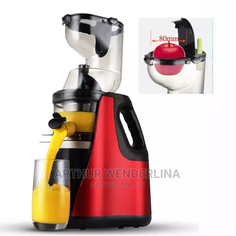 Cntronic Slow Juicer/ Juice Extractor