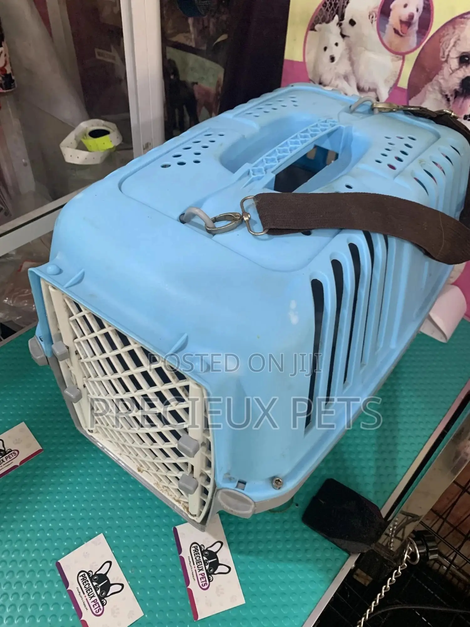 Plastic Cat and Dog Crate
