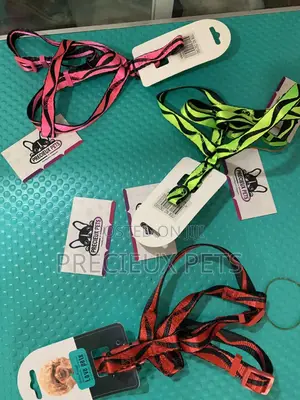 Multicolored Harness Only