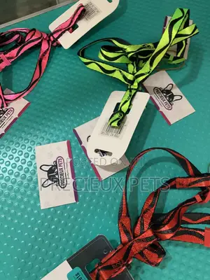 Multicolored Harness Only