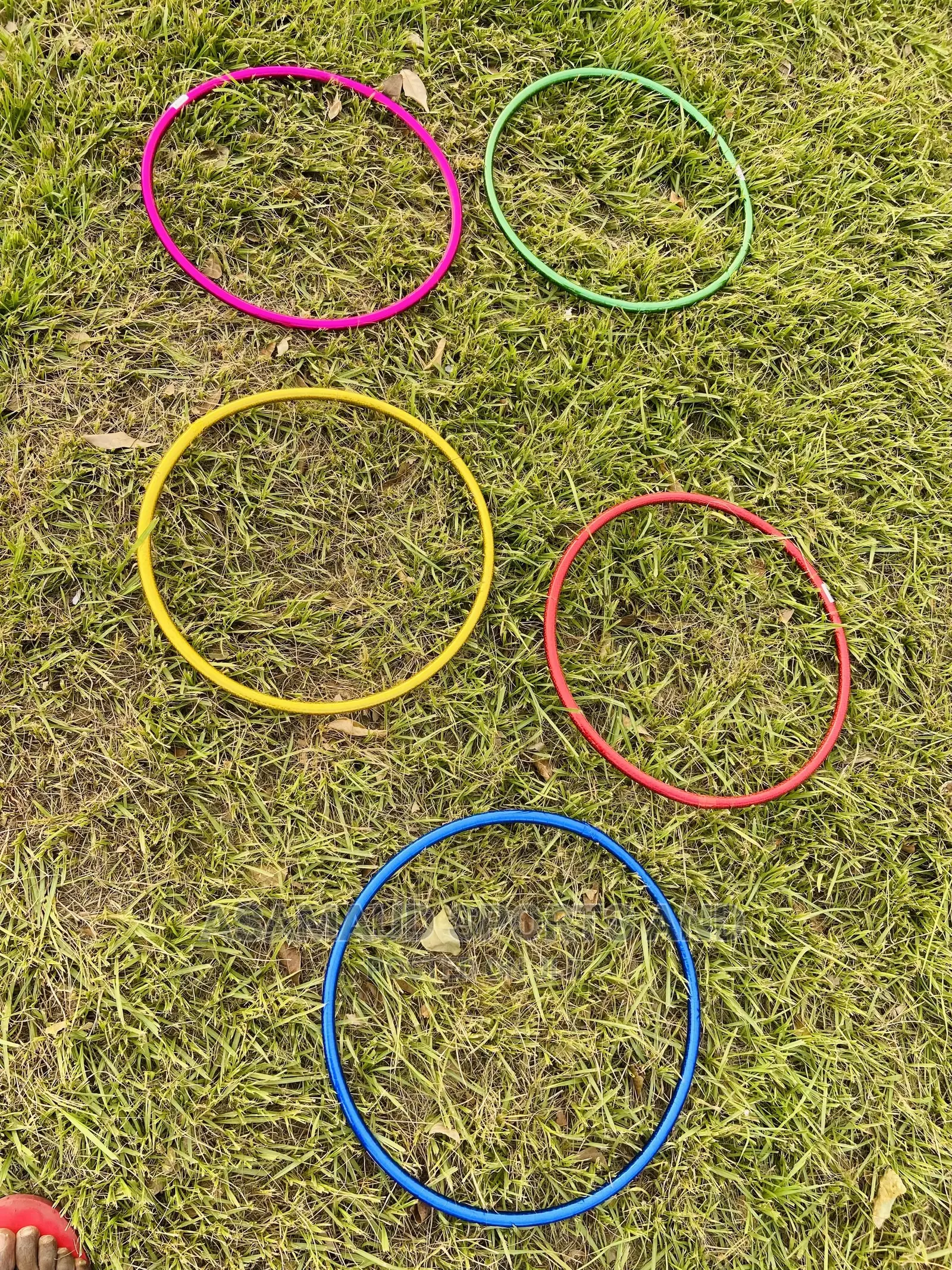 Original Agility Training Hoop at Cool Price