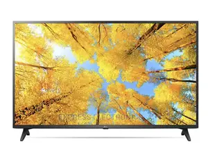 55UQ7500 LG 55” UHD Smart+ Free Wall Mount/Tv Guard