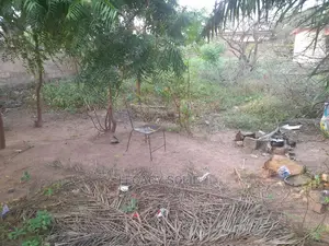 Geninue Half Plot of Land for Sale