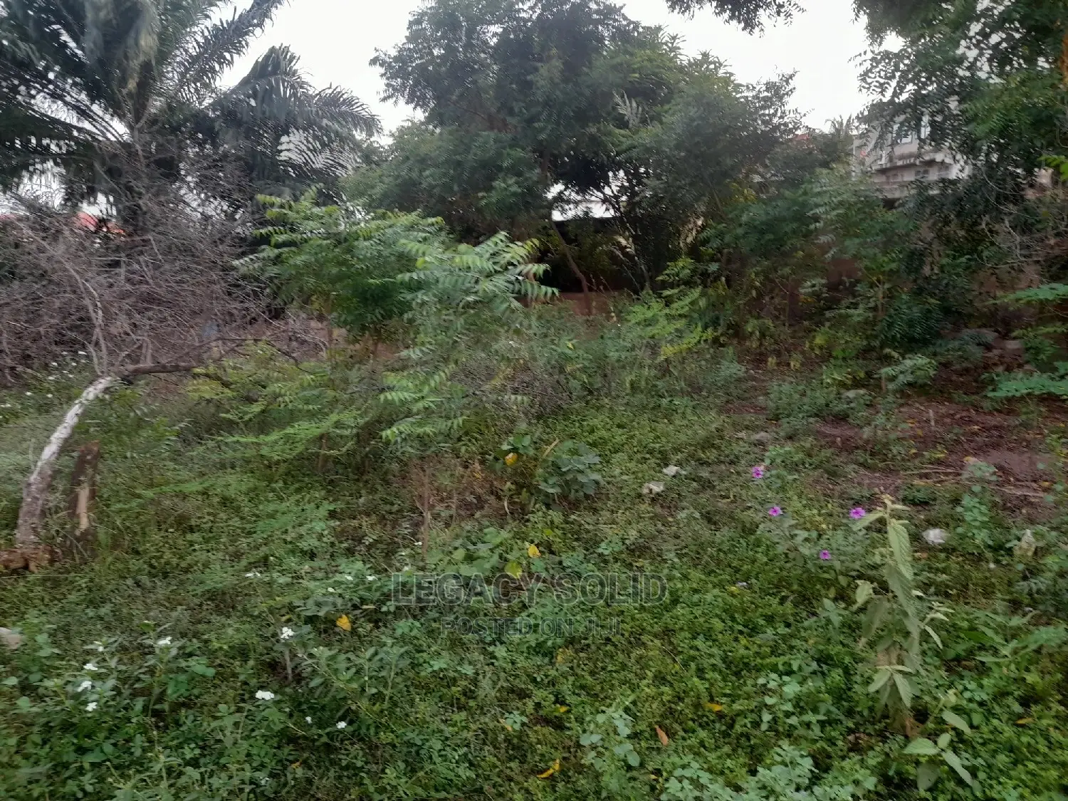Geninue Half Plot of Land for Sale