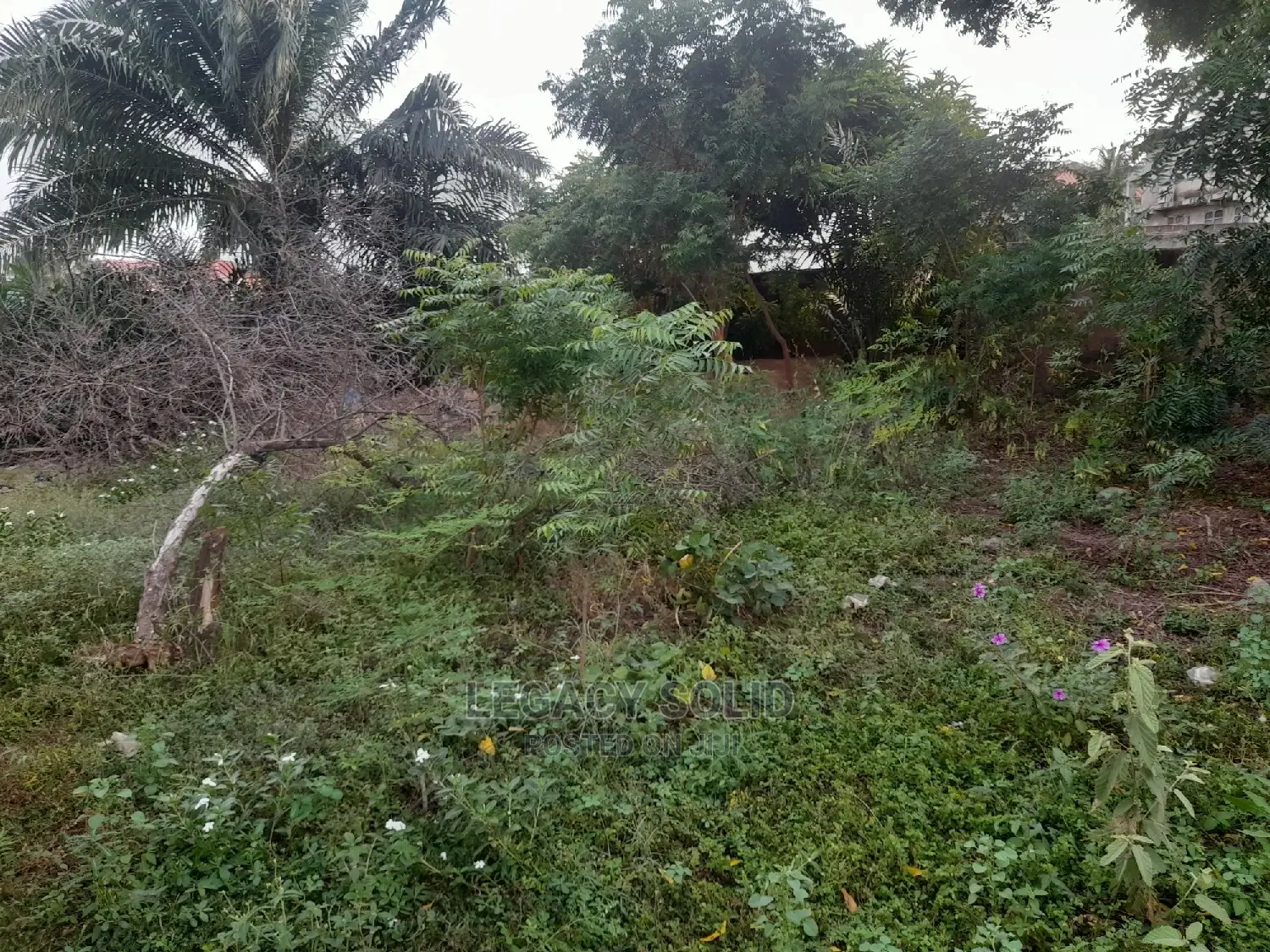 Geninue Half Plot of Land for Sale