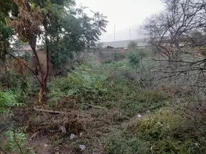 Geninue Half Plot of Land for Sale