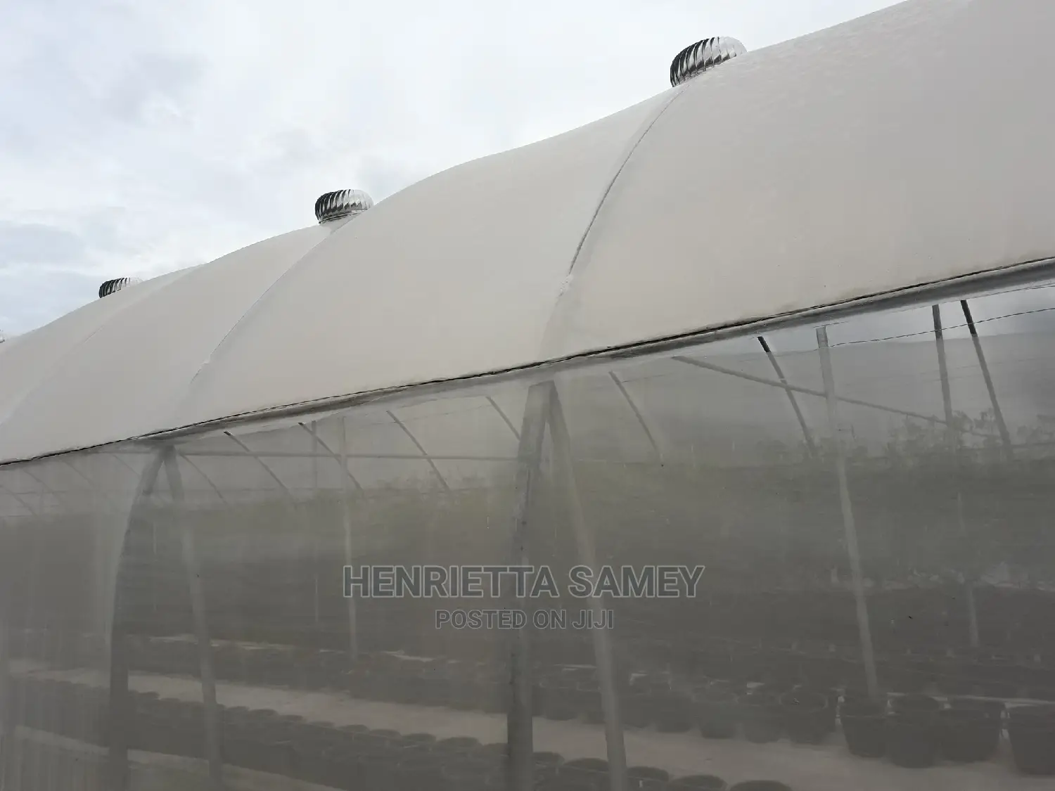 Stainless Steel Industrial Roof Ventilators (Heat Extractor)