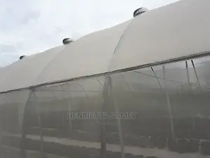 Stainless Steel Industrial Roof Ventilators (Heat Extractor)