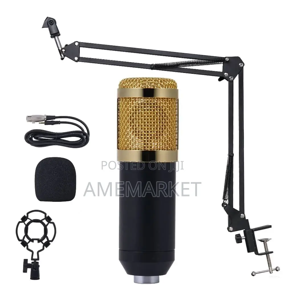 Professional BM800 Studio Condenser Microphone.