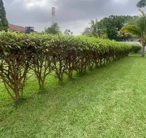 Registered/Titled Plot Available for Sale