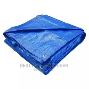 Hight Quality Waterproof PE Tarpaulin Covers