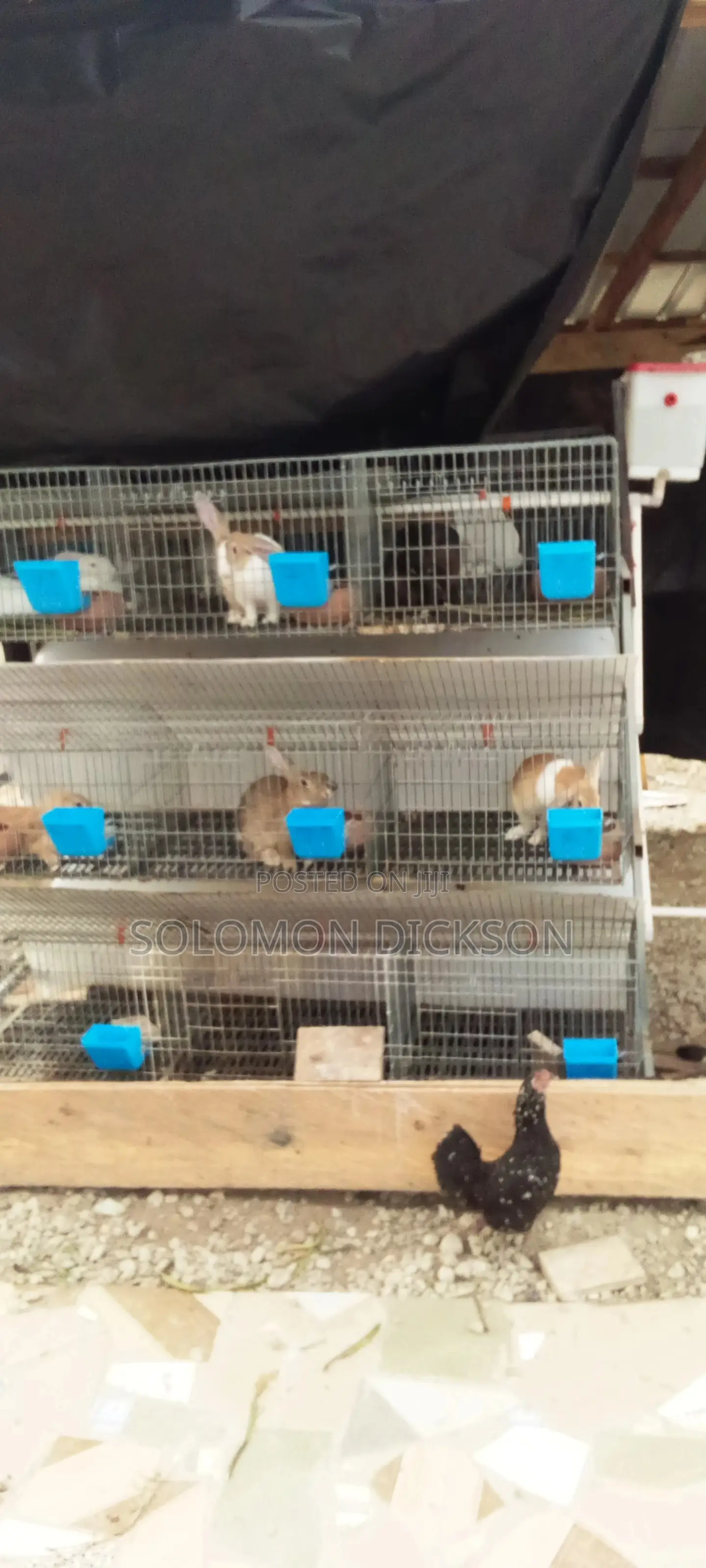Rabbit Cage With 18 Rooms