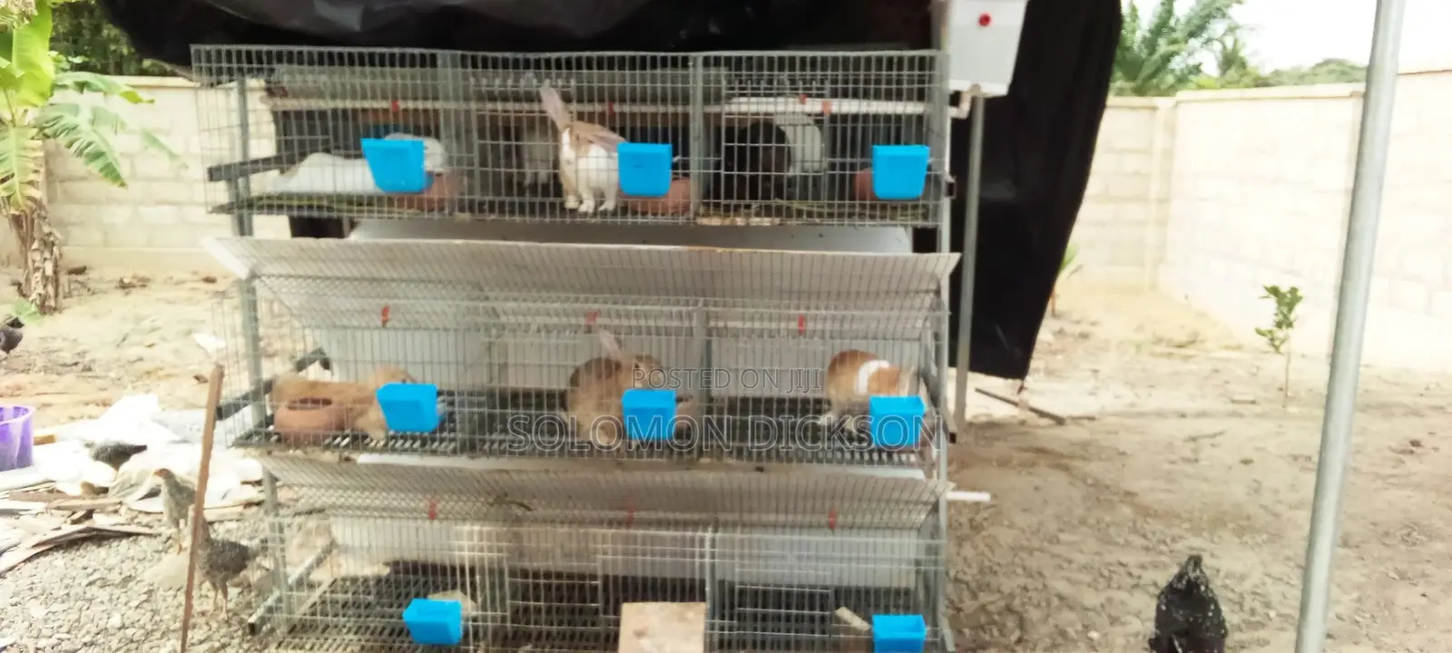 Rabbit Cage With 18 Rooms