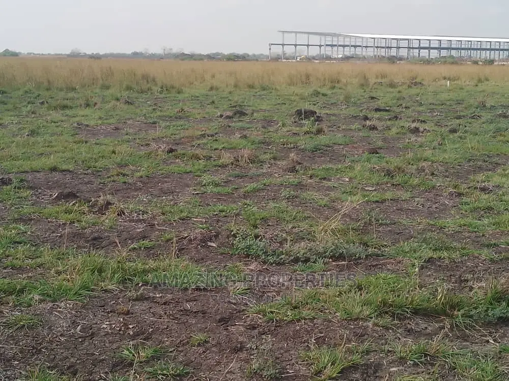 100acres of Serviced Plots of Land for Sale Tema Aflao