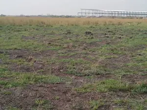 100acres of Serviced Plots of Land for Sale Tema Aflao