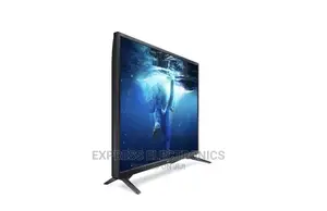 Get Promo on 33”Sharp Digital HD+ Free Wallmount